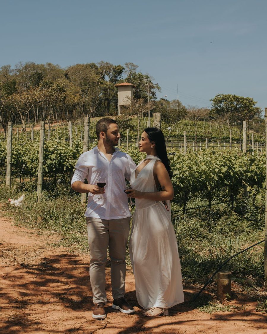Un brindis en el valle